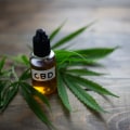 What is CBDV and how is it different from CBD?